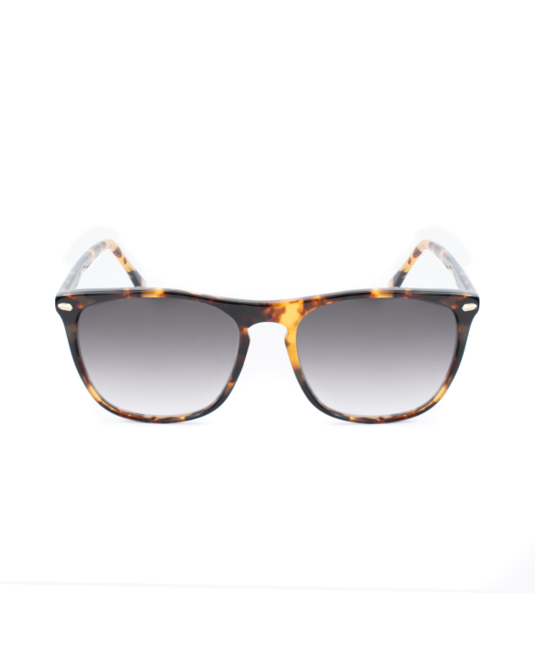 SUNGLASSES BELSTAFF WOMEN MERIIANIS16 (Lens/Bridge/Temple) 55/17/150 mm)