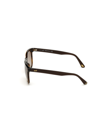 SUNGLASSES WEB EYEWEAR MAN WE0279-5652G (Lens/Bridge/Temple) 56/19/145 mm)