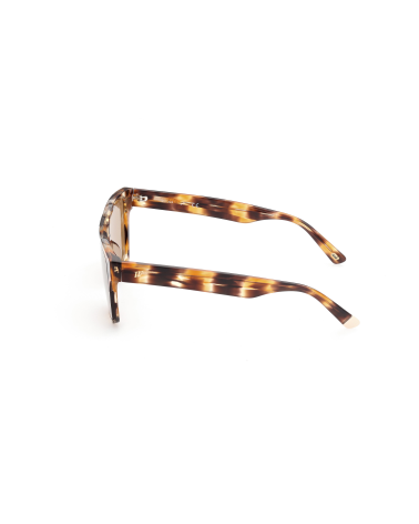 SUNGLASSES WEB EYEWEAR MAN WE0314-0041F (Lens/Bridge/Temple) 00/0/145 mm)