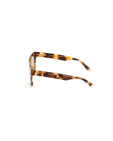 SUNGLASSES WEB EYEWEAR MAN WE0315-0041F (Lens/Bridge/Temple) 00/0/145 mm)