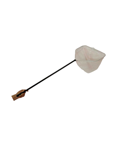 Απόχη ψαρέματος