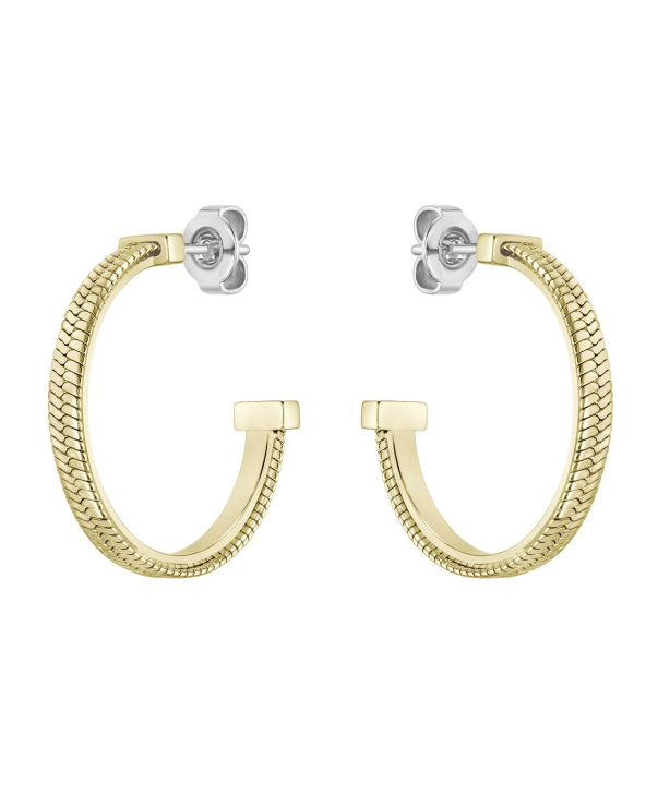 EARRINGS BOSS WOMEN 1580483 (2,5CM )