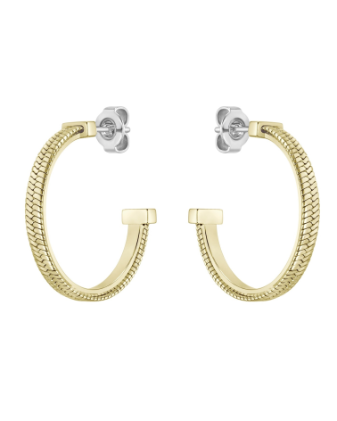 EARRINGS BOSS WOMEN 1580483 (2,5CM )