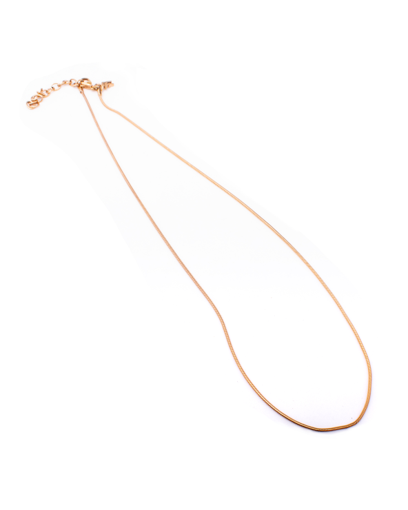 NECKLACE FOLLI FOLLIE WOMAN 1N13T006R (20CM )