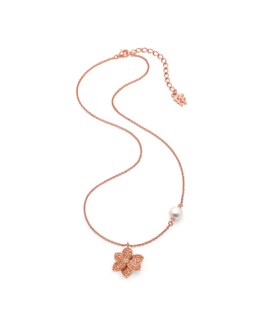 NECKLACE FOLLI FOLLIE WOMAN 3N19S240RSW (38CM )