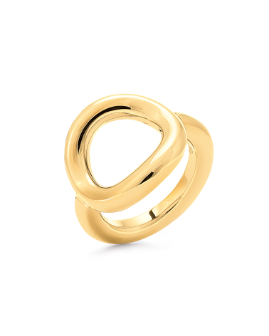 RING FOLLI FOLLIE WOMAN 1R17T011Y-42 (42 )