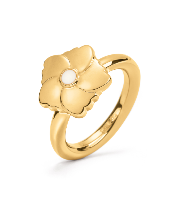 RING FOLLI FOLLIE WOMAN 3R19T010YW-52 (52 )