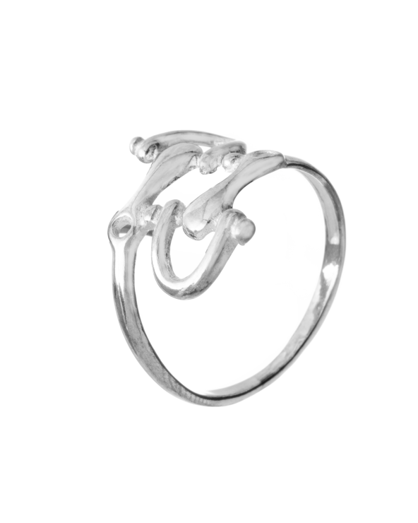 RING CRISTIAN LAY WOMAN 54741120 (12 )