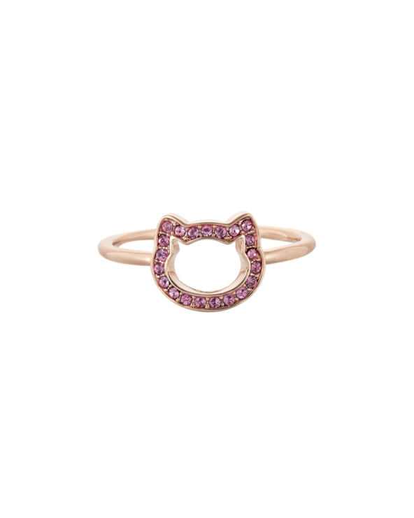 RING KARL LAGERFELD WOMAN 5483552 (52 )