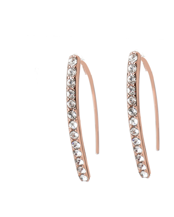 EARRINGS ADORE WOMAN 5489506 (2CM )