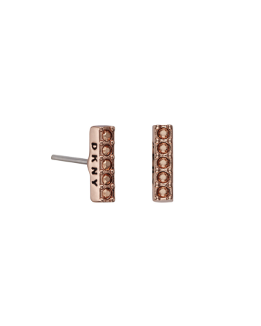 EARRINGS DKNY WOMAN 5520082 (1CM )