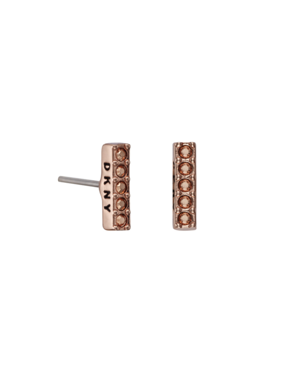 EARRINGS DKNY WOMAN 5520082 (1CM )