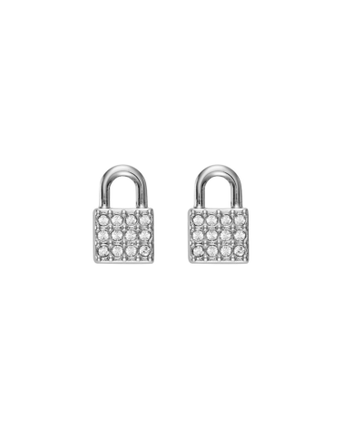 EARRINGS DKNY WOMAN 5520119 (1CM )