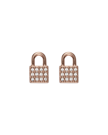 EARRINGS DKNY WOMAN 5520121 (1CM )