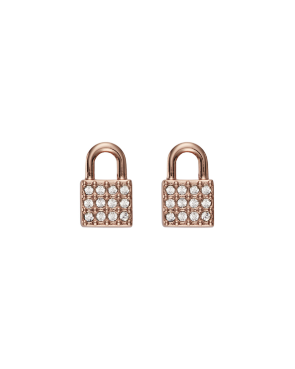 EARRINGS DKNY WOMAN 5520121 (1CM )