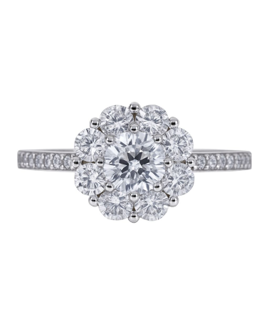 RING DIAMONFIRE WOMEN 6115321082160 (16 )
