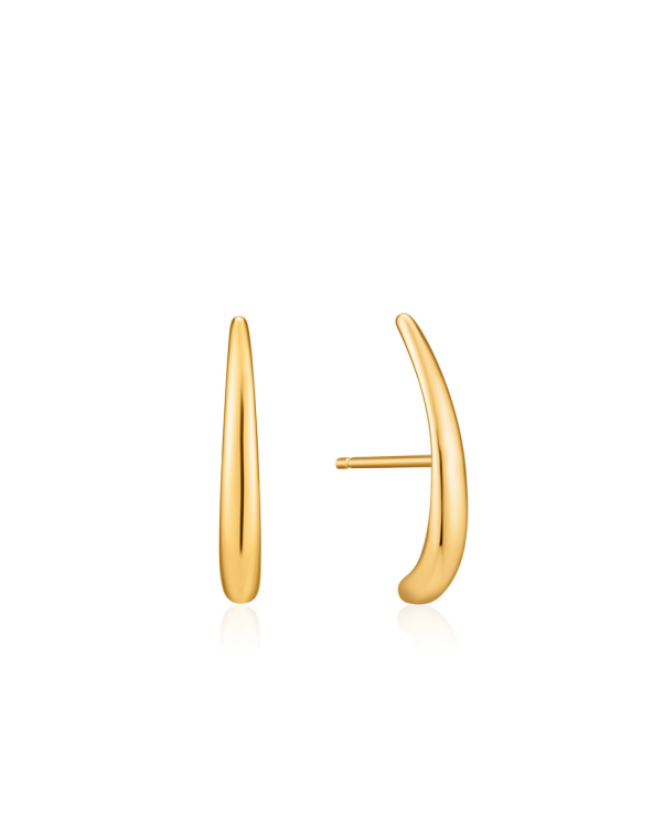 EARRINGS ANIA HAIE WOMEN E024-05G (2,5CM )