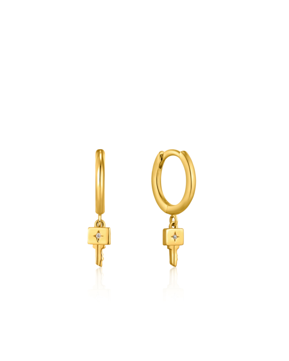 EARRINGS ANIA HAIE WOMEN E032-04G (0,5CM )