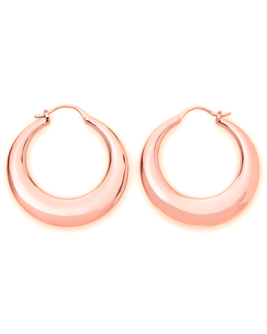 EARRINGS ROSEFIELD WOMAN JBHR-J088 (3 CM )