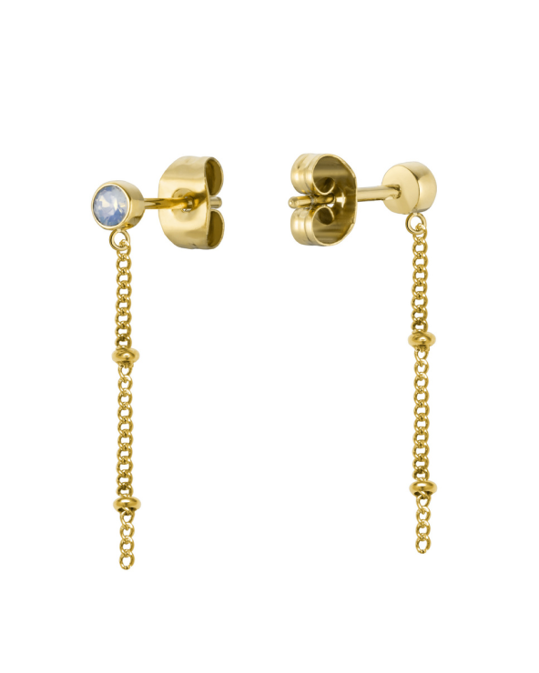 EARRINGS ROSEFIELD WOMEN JCSSCG-J255 (2CM )