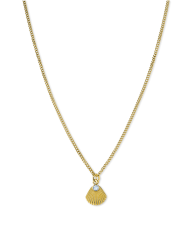 NECKLACE ROSEFIELD WOMEN JPNSCG-J268 (40-45CM )