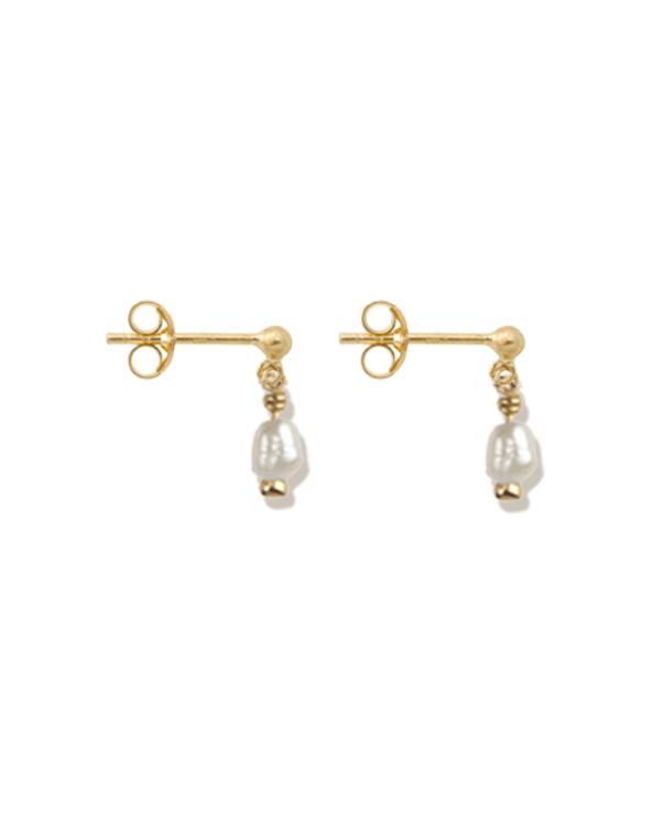 EARRINGS ROSEFIELD WOMEN JTSPG-J427 (2CM )