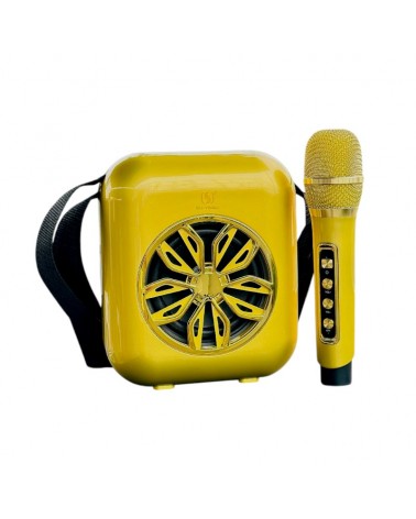 Ασύρματο ηχείο Bluetooth με μικρόφωνο Karaoke - YS-A20 - 887103 - Gold