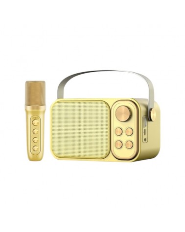 Ασύρματο ηχείο Bluetooth με μικρόφωνο Karaoke - YS-103 - 887288 - Gold