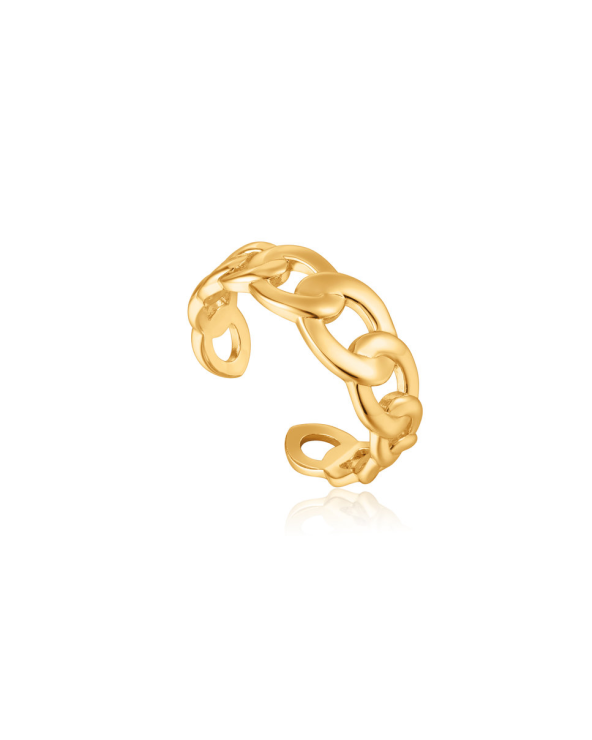 RING ANIA HAIE WOMEN R021-01G (53 )