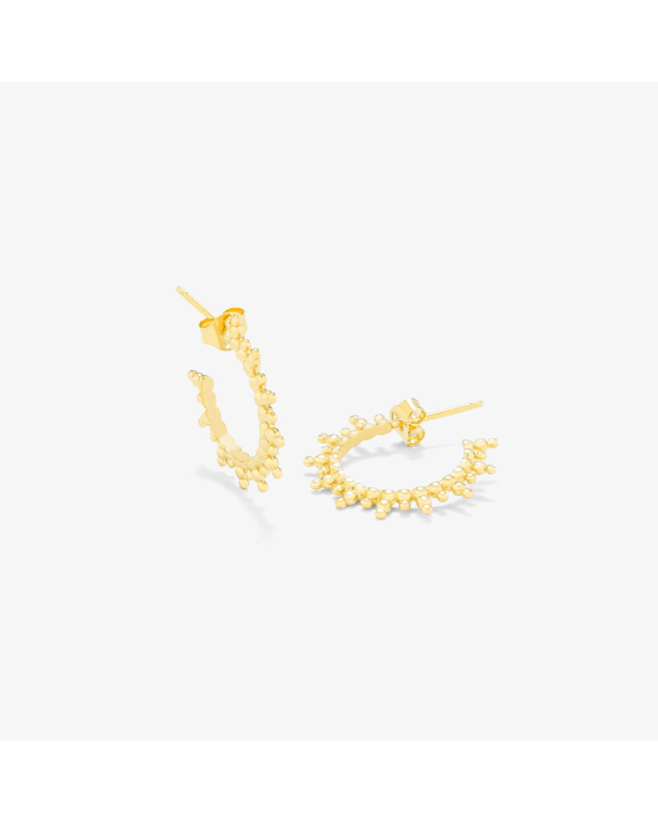 EARRINGS RADIANT WOMEN RY000020 (2,5CM )