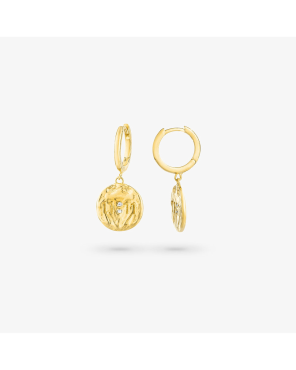 EARRINGS RADIANT WOMEN RY000047 (1,5CM )