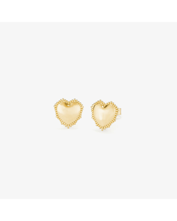 EARRINGS RADIANT WOMEN RY000055 (1,5CM )