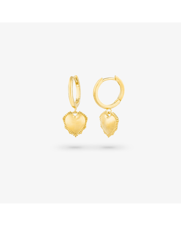 EARRINGS RADIANT WOMEN RY000056 (2,5CM )