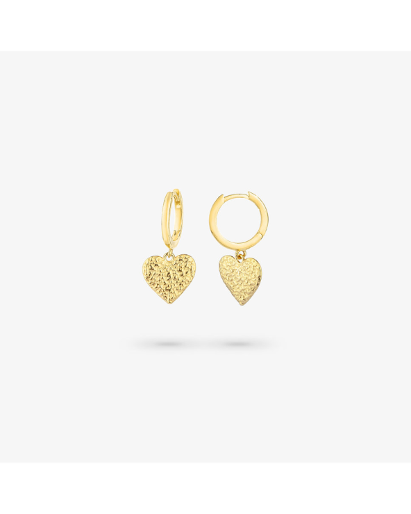 EARRINGS RADIANT WOMEN RY000107 (2CM )