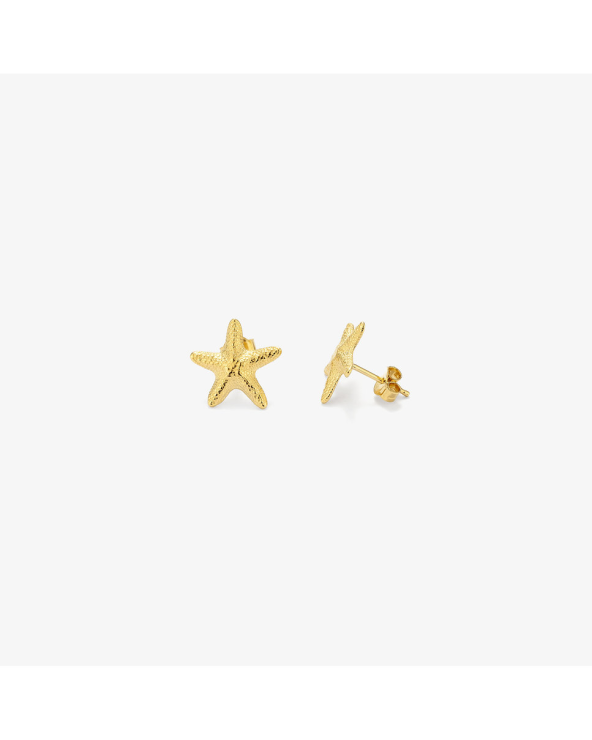 EARRINGS RADIANT WOMEN RY000135 (1CM )