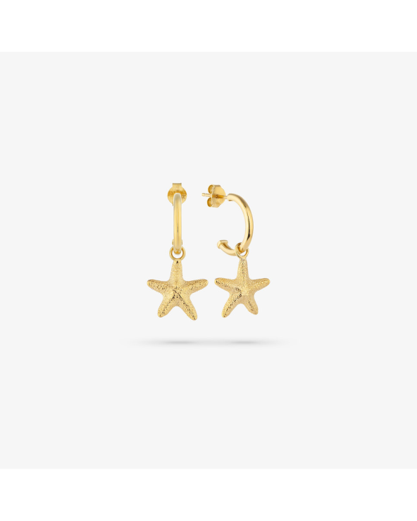 EARRINGS RADIANT WOMEN RY000137 (2CM )