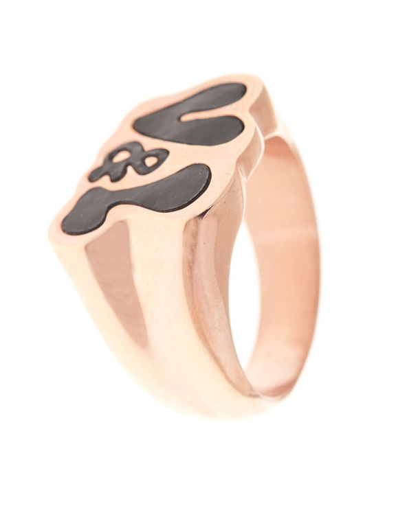 RING VICTORIO & LUCCHINO WOMAN VJ0270AN-13 (14 )