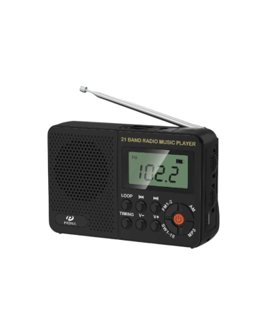 Επαναφορτιζόμενο ραδιόφωνο με Bluetooth - PR-513BT
