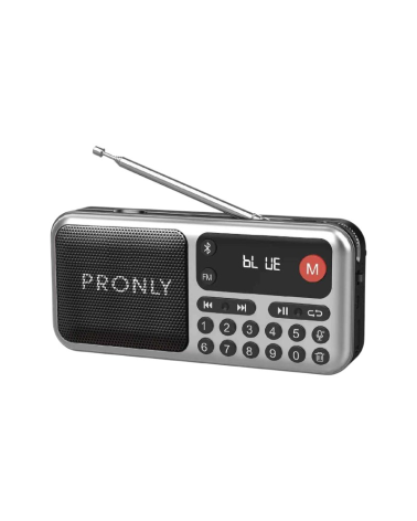 Επαναφορτιζόμενο ραδιόφωνο με Bluetooth - PR-810BT