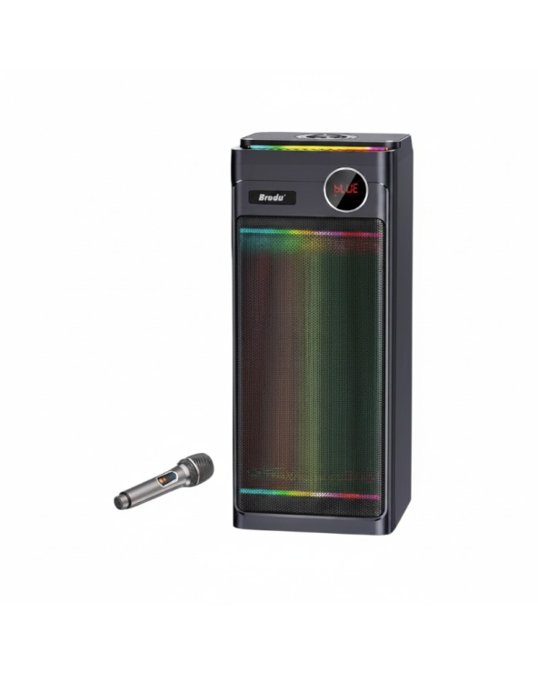 Φορητό ηχείο subwoofer με μικρόφωνο Karaoke - BTS-2243
