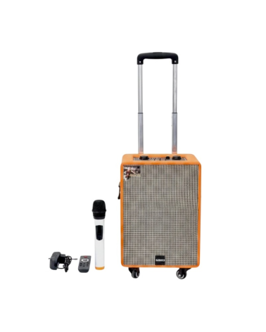 Φορητό ηχείο subwoofer με μικρόφωνο Karaoke - QS-853