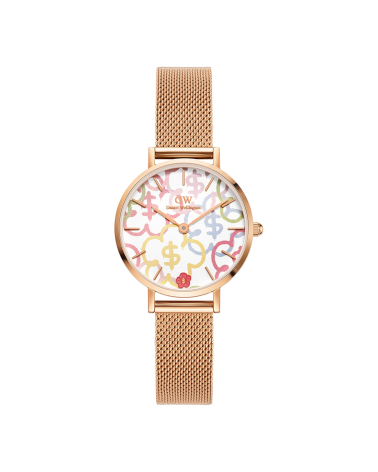 WATCH DANIEL WELLINGTON WOMEN DW00100723 (28MM)