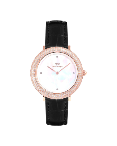 WATCH DANIEL WELLINGTON WOMEN DW00100827 (32MM)