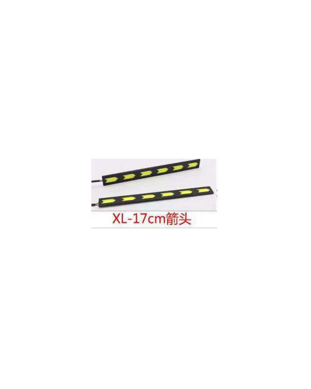 Φώτα ημέρας LED οχημάτων - 1107103A/X02