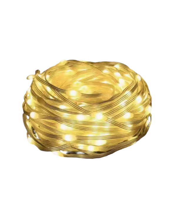 Χριστουγεννιάτικα φώτα LED με επένδυση - 20m/200LED - Warm White