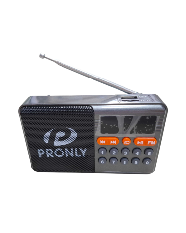 Επαναφορτιζόμενο ραδιόφωνο με Bluetooth - PR-808BT - 241335 - Grey